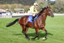 Race 5 (1) - Zeelander