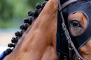 Race 5 (2) - N170611