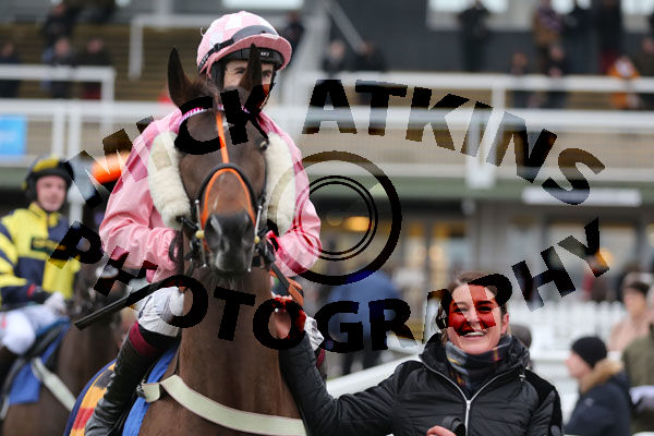 Race 5 (2) - Newberry New