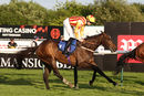 Race 5 (4) - Holy Hymn