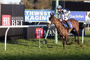 Race 5 (5) - A Perfect Gift