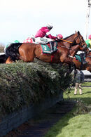 Race 5 (5) - Battleoverdoyen