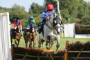 Race 5 (5) - Grey Monk