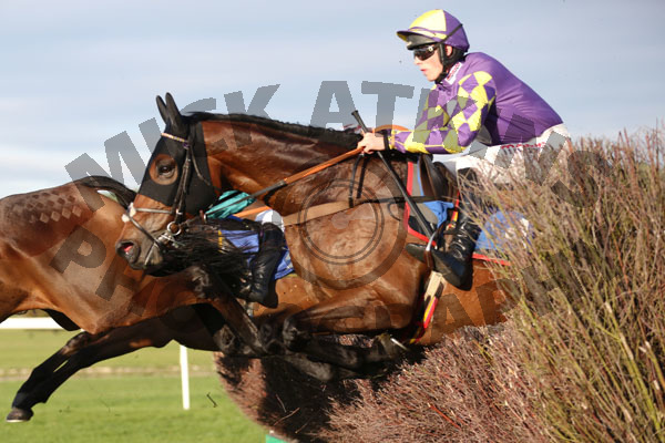 Race 5 (5) - Romain De Senam