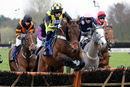 Race 5 (7) - Faithful Mount