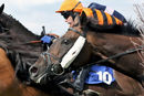 Race 5 (7) - MR190621