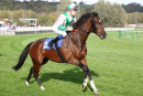 Race 5 (7) - Medieval