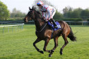 Race 5 (8) - On To Victory