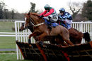 Race 6 - Acertain Circus (2)