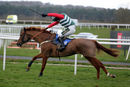 Race 6 - Acertain Circus (6)