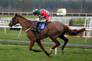 Race 6 - Acertain Circus (7)