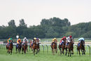 Race 6 - Al Messila (2)