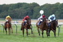Race 6 - Al Messila (3)