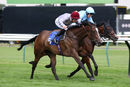 Race 6 - Al Messila (5)