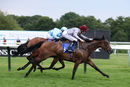 Race 6 - Al Messila (8)