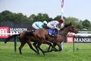 Race 6 - Al Messila (9)