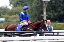 Race 6 - Aquarium (13)