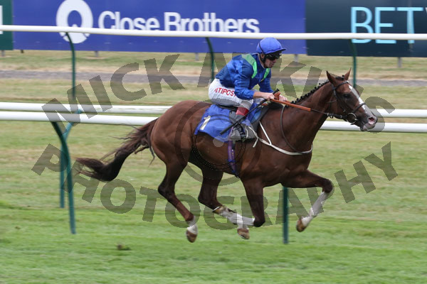 Race 6 - Aquarium (7)