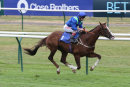 Race 6 - Aquarium (7)