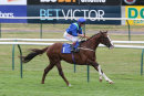 Race 6 - Aquarium (8)
