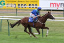 Race 6 - Aquarium (9)