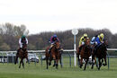Race 6 - Astro King (2)