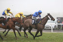 Race 6 - Ballyrath (5)