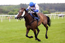 Race 6 - Bandsman (9)