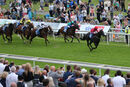 Race 6 - Blackberry (2)