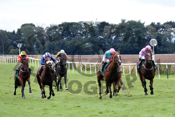 Race 6 - Borodin (2)