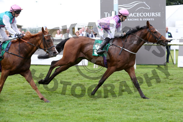 Race 6 - Borodin (8)
