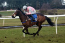 Race 6 - Bridane Rebel (10)