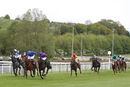 Race 6 - Capla Dream (2)