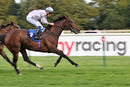 Race 6 - Capriolette (11)