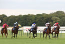 Race 6 - Capriolette (3)