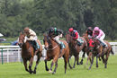 Race 6 - Carlovian (3)