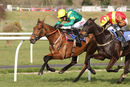 Race 6 - Carrolls Milan (12)