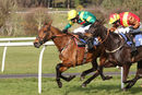 Race 6 - Carrolls Milan (13)