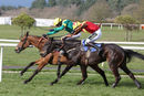 Race 6 - Carrolls Milan (16)