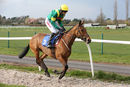Race 6 - Carrolls Milan (2)