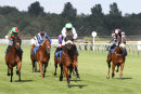 Race 6 - Classic Pursuit (3)