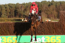 Race 6 - Compadre (5)