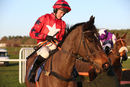Race 6 - Compadre (2)
