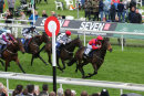 Race 6 - Coolfitch (9)