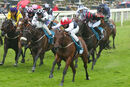 Race 6 - Copper Knight (1)