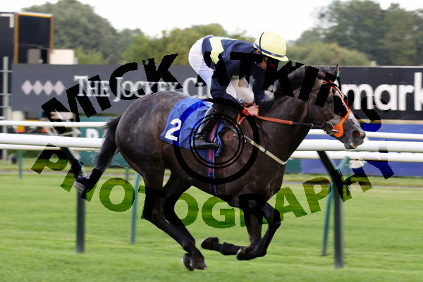 Race 6 - Corncrake (4)