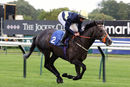Race 6 - Corncrake (4)