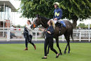 Race 6 - Corncrake (8)