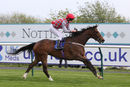 Race 6 - Cuban Sun (7)