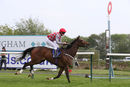 Race 6 - Cuban Sun (8)
